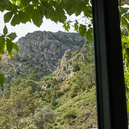 Hotel De La Restonica كورتي المظهر الخارجي الصورة